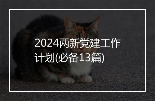 2024两新党建工作计划(必备13篇)