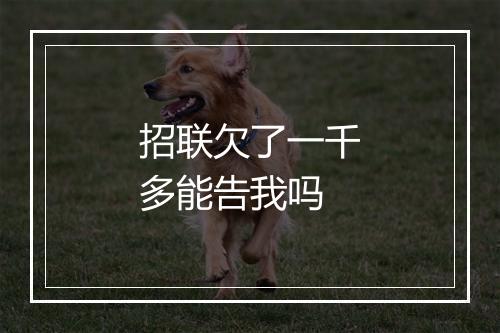 招联欠了一千多能告我吗