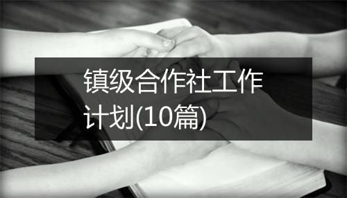 镇级合作社工作计划(10篇)
