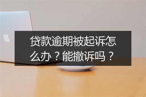 贷款逾期被起诉怎么办？能撤诉吗？