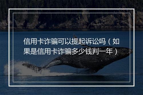 信用卡诈骗可以提起诉讼吗（如果是信用卡诈骗多少钱判一年）