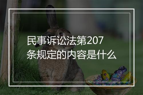 民事诉讼法第207条规定的内容是什么