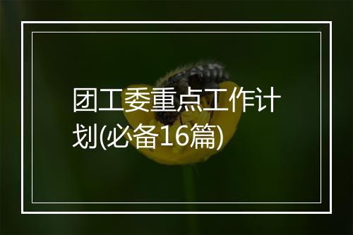 团工委重点工作计划(必备16篇)
