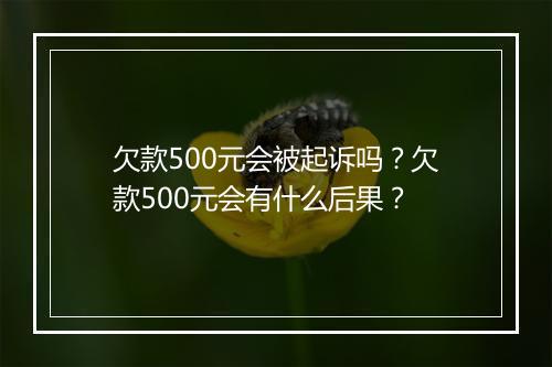 欠款500元会被起诉吗？欠款500元会有什么后果？