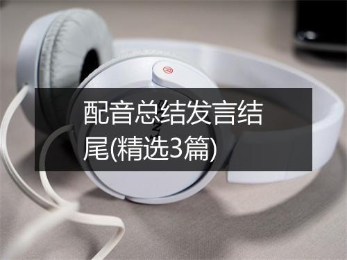 配音总结发言结尾(精选3篇)