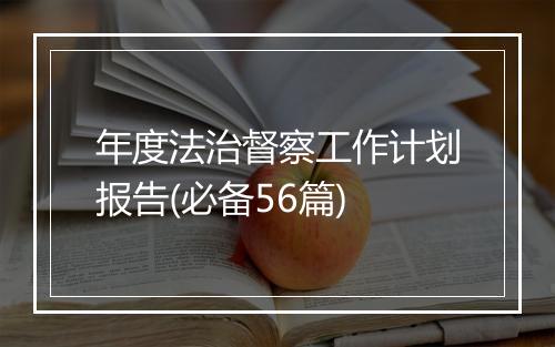 年度法治督察工作计划报告(必备56篇)