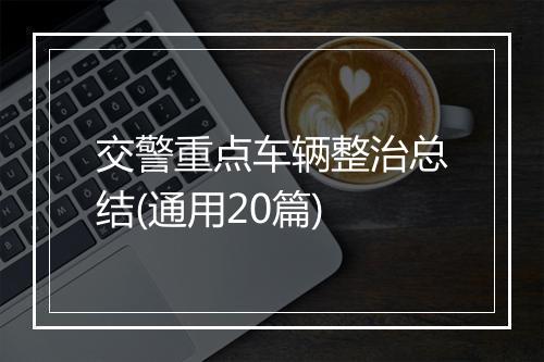交警重点车辆整治总结(通用20篇)