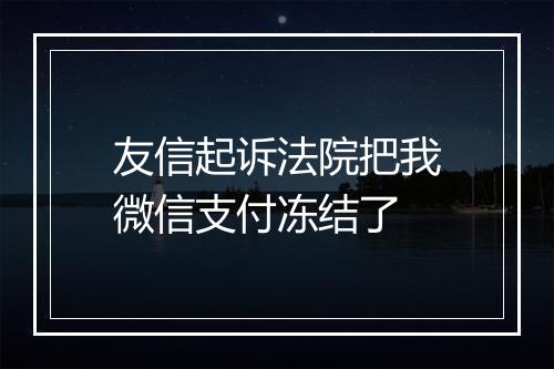 友信起诉法院把我微信支付冻结了