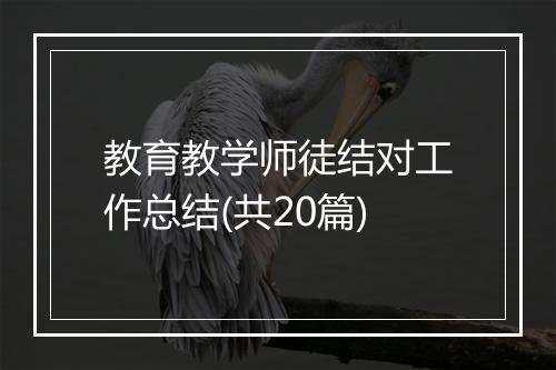 教育教学师徒结对工作总结(共20篇)