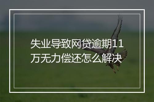 失业导致网贷逾期11万无力偿还怎么解决