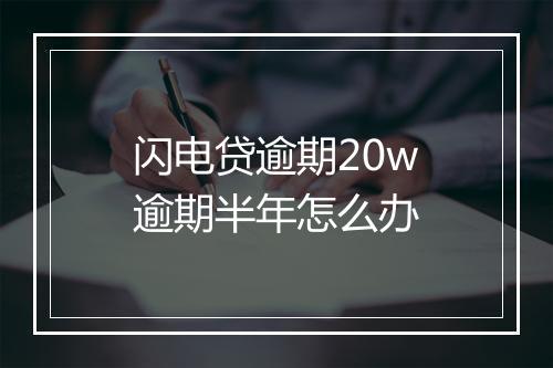 闪电贷逾期20w逾期半年怎么办