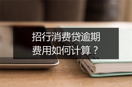 招行消费贷逾期费用如何计算？