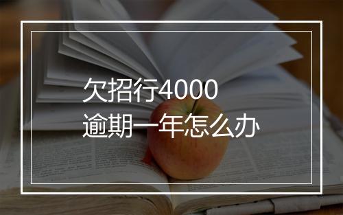 欠招行4000逾期一年怎么办
