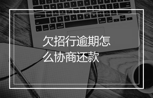 欠招行逾期怎么协商还款
