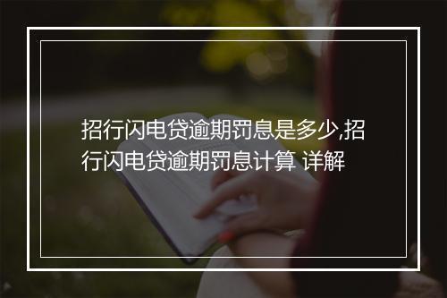 招行闪电贷逾期罚息是多少,招行闪电贷逾期罚息计算 详解