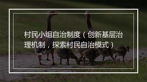 村民小组自治制度（创新基层治理机制，探索村民自治模式）