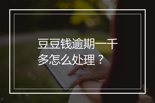 豆豆钱逾期一千多怎么处理？