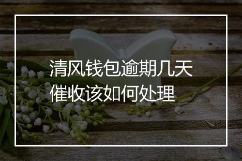 清风钱包逾期几天催收该如何处理