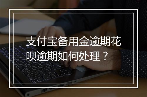 支付宝备用金逾期花呗逾期如何处理？