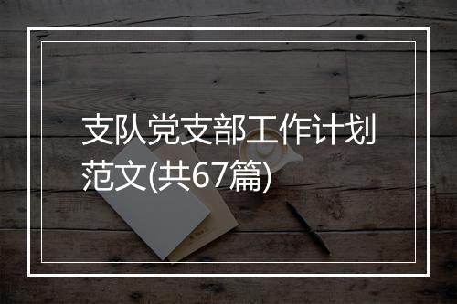 支队党支部工作计划范文(共67篇)