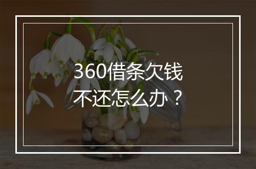 360借条欠钱不还怎么办？