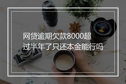 网贷逾期欠款8000超过半年了只还本金能行吗