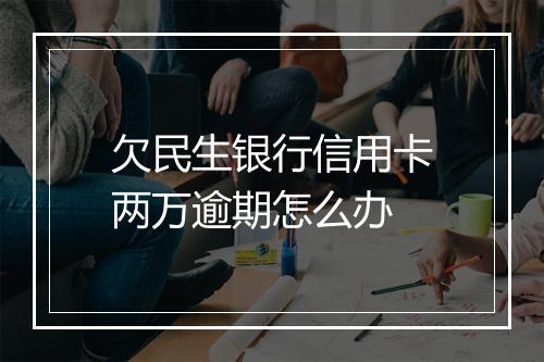欠民生银行信用卡两万逾期怎么办