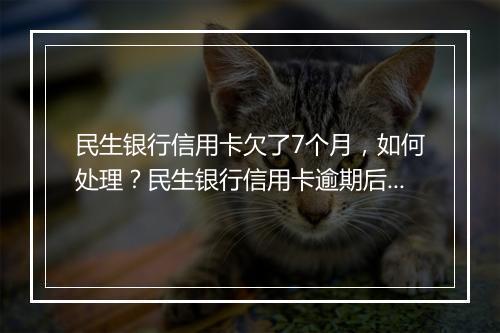 民生银行信用卡欠了7个月，如何处理？民生银行信用卡逾期后果严重吗
