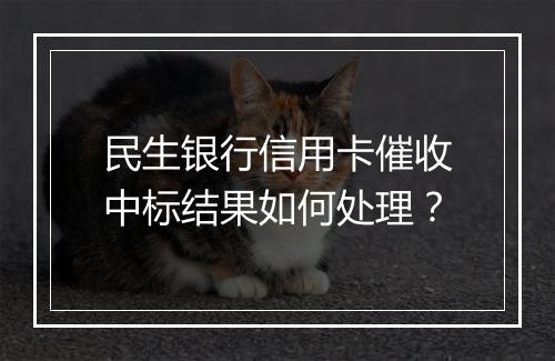 民生银行信用卡催收中标结果如何处理？