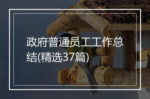 政府普通员工工作总结(精选37篇)