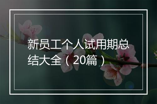 新员工个人试用期总结大全（20篇）