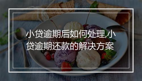 小贷逾期后如何处理,小贷逾期还款的解决方案