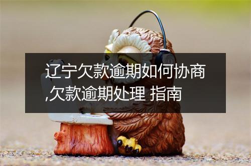 辽宁欠款逾期如何协商,欠款逾期处理 指南