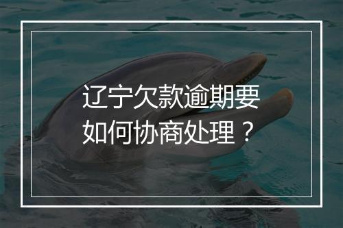 辽宁欠款逾期要如何协商处理？