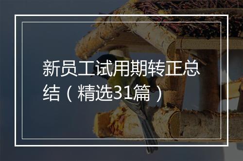 新员工试用期转正总结（精选31篇）