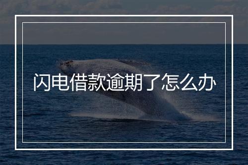 闪电借款逾期了怎么办
