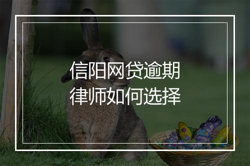 信阳网贷逾期律师如何选择