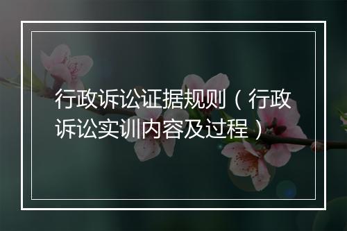 行政诉讼证据规则（行政诉讼实训内容及过程）
