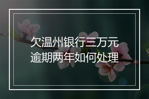 欠温州银行三万元逾期两年如何处理