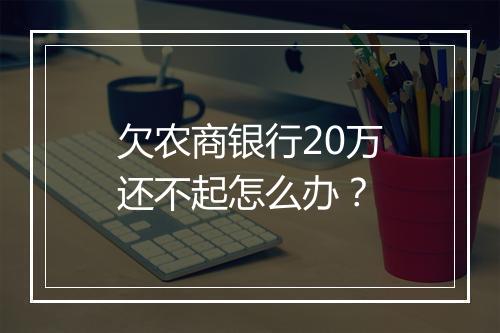欠农商银行20万还不起怎么办？
