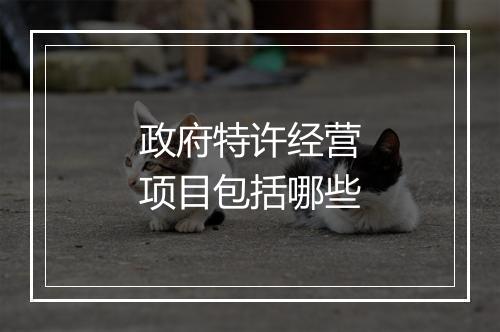政府特许经营项目包括哪些