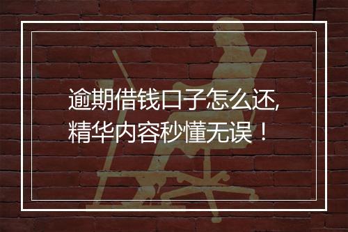 逾期借钱口子怎么还,精华内容秒懂无误！