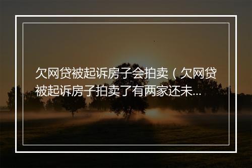 欠网贷被起诉房子会拍卖（欠网贷被起诉房子拍卖了有两家还未起诉怎么办）