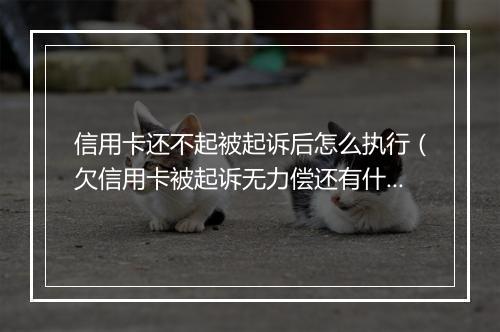 信用卡还不起被起诉后怎么执行（欠信用卡被起诉无力偿还有什么后果）