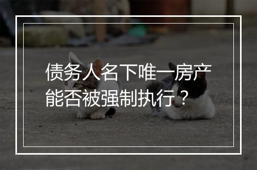 债务人名下唯一房产能否被强制执行？