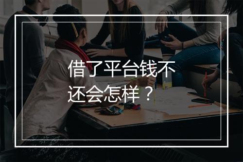 借了平台钱不还会怎样？