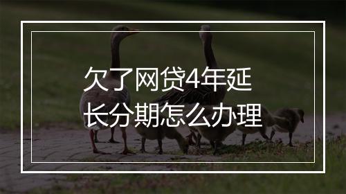 欠了网贷4年延长分期怎么办理