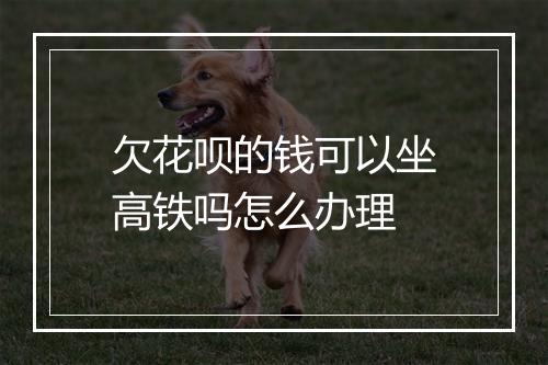 欠花呗的钱可以坐高铁吗怎么办理