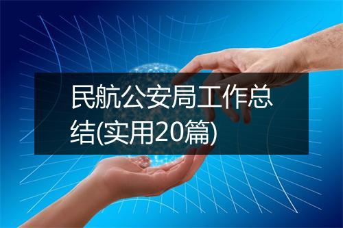 民航公安局工作总结(实用20篇)