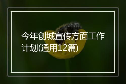 今年创城宣传方面工作计划(通用12篇)